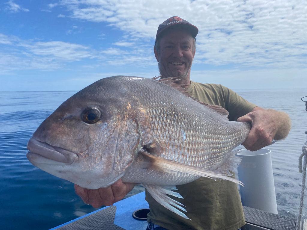 Bay of Islands Fishing Report 16Nov23