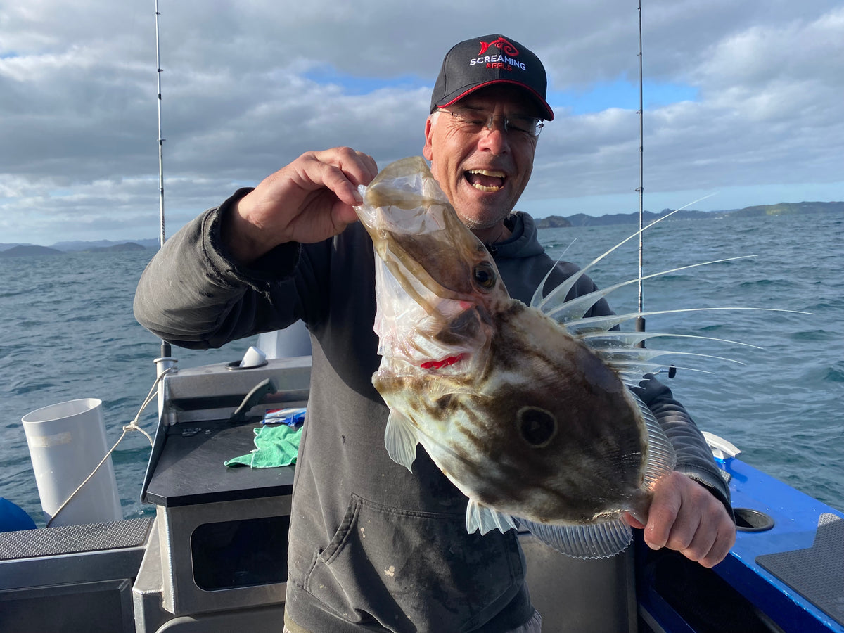 Bay of Islands Fishing Report 22Oct22