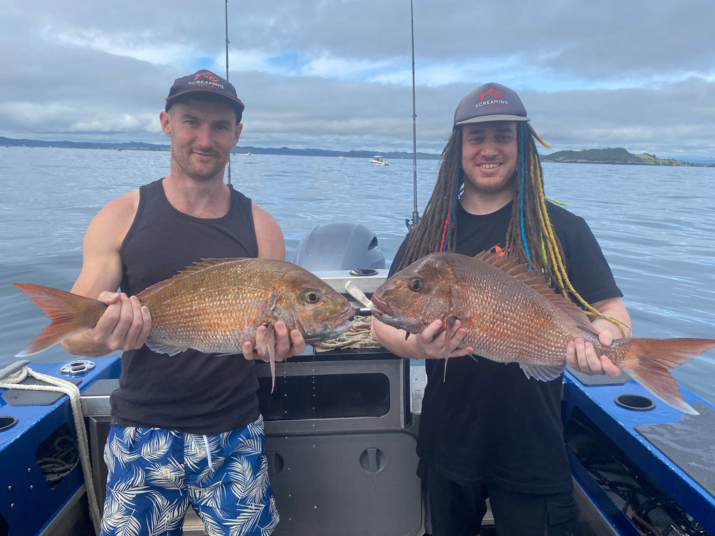 Bay of Islands Fishing Report 11Jan24