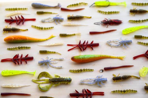 Getting Started With Softbaits - A Beginner’s Guide