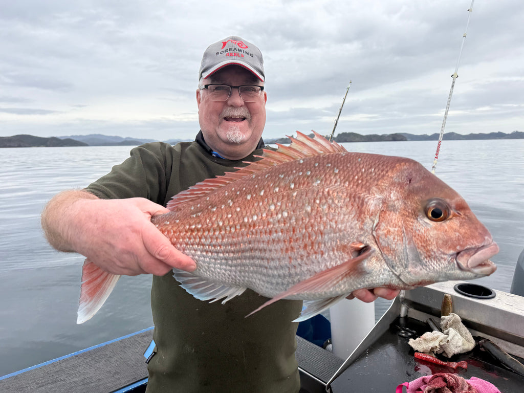 Bay of Islands Fishing Report - 13th November 2025