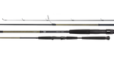 Daiwa Sealine SL20SH & Legalis 701HB Overhead Combo