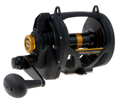 PENN Squall 30VSW & Bluewater Carnage 24kg Trolling Combo