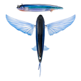 Nomad Slipstream 200 Flying Fish